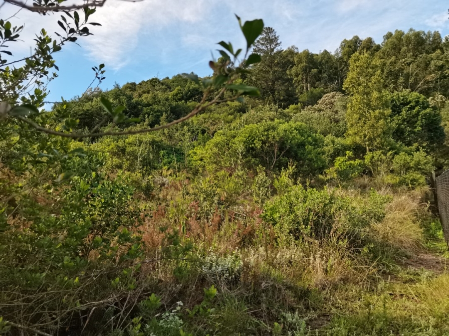 0 Bedroom Property for Sale in Simola Western Cape